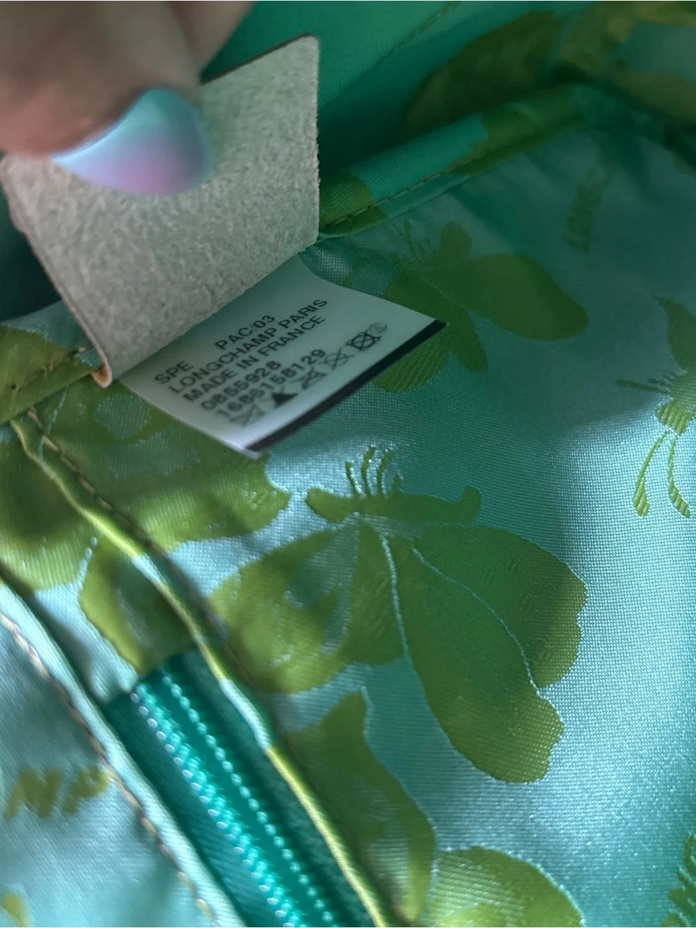 Longchamp Green Croc Embossed Roseau Bag
